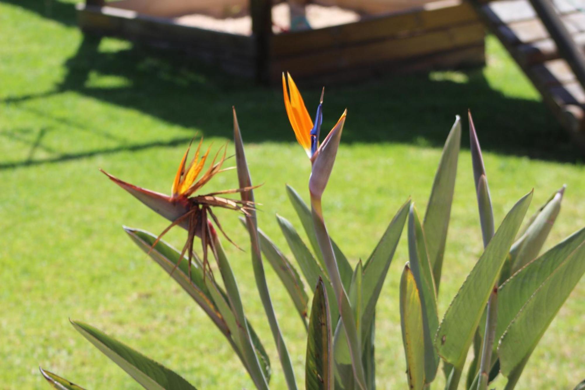 Hartenbos Private Game Lodge Экстерьер фото