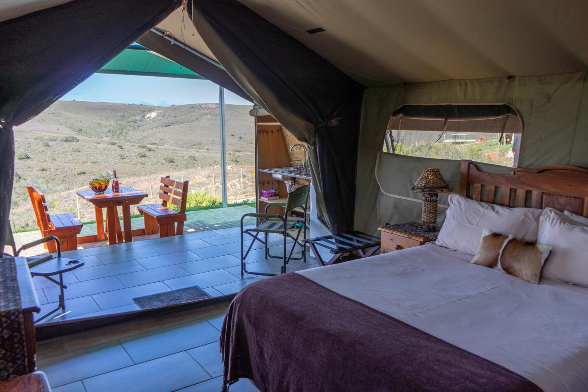 Hartenbos Private Game Lodge Экстерьер фото