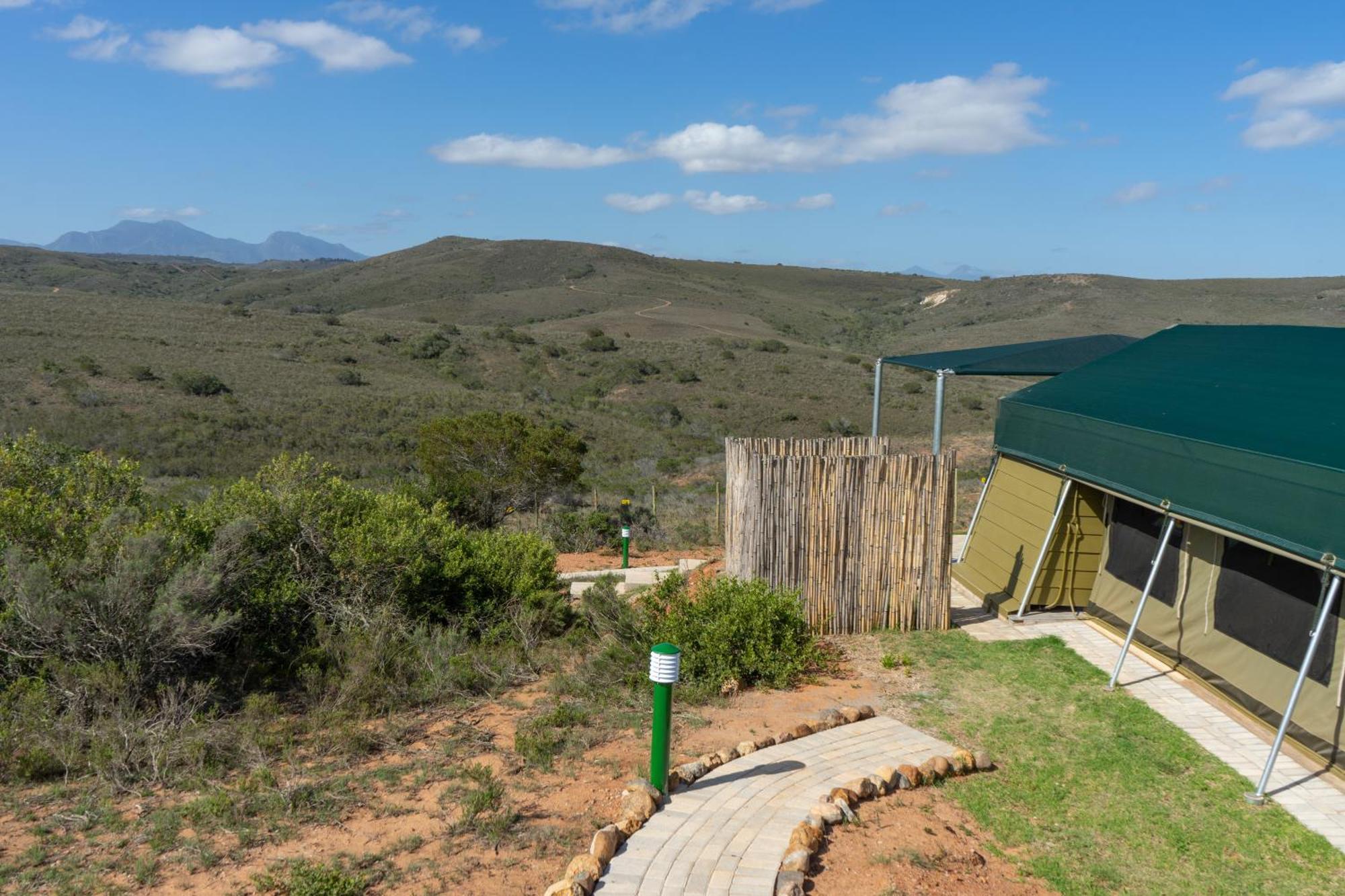 Hartenbos Private Game Lodge Экстерьер фото