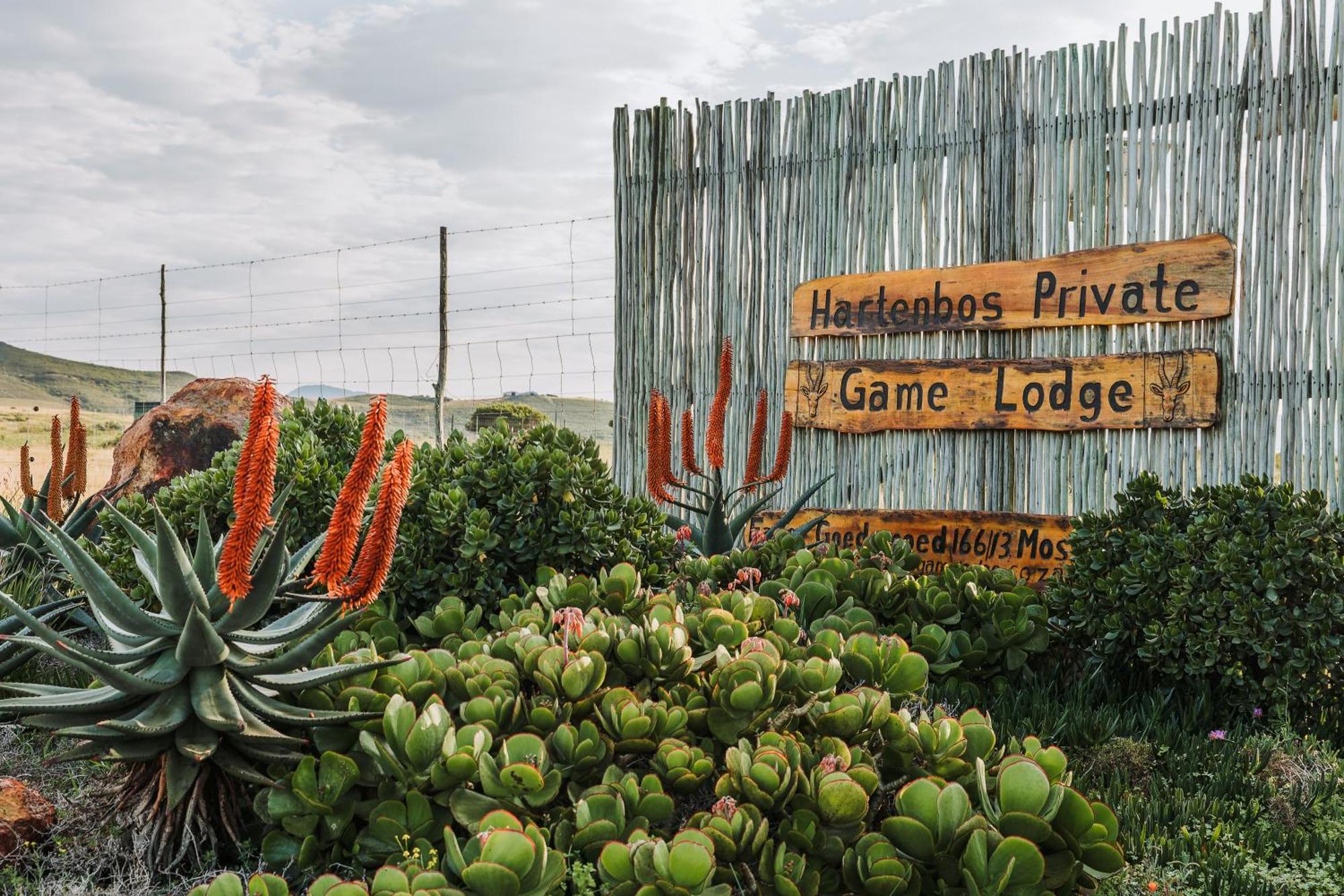 Hartenbos Private Game Lodge Экстерьер фото