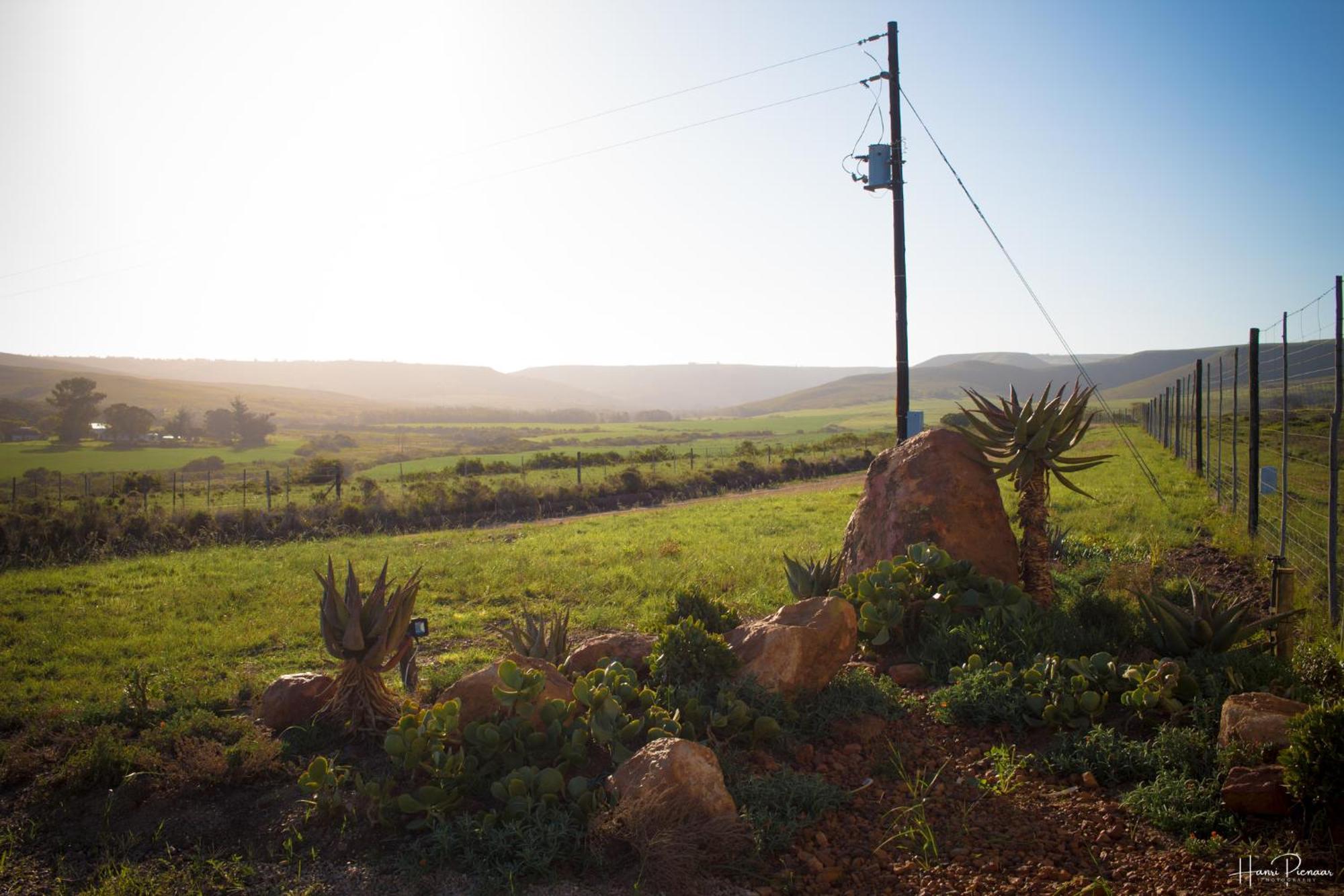 Hartenbos Private Game Lodge Экстерьер фото