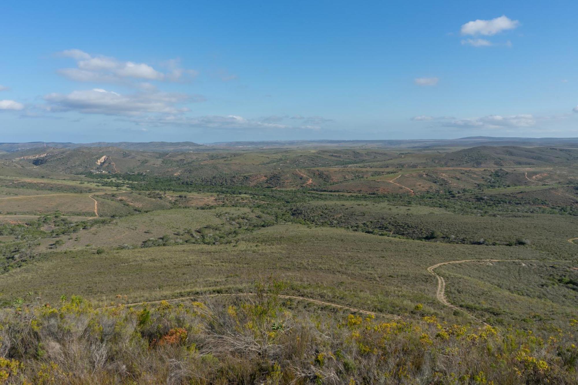 Hartenbos Private Game Lodge Экстерьер фото