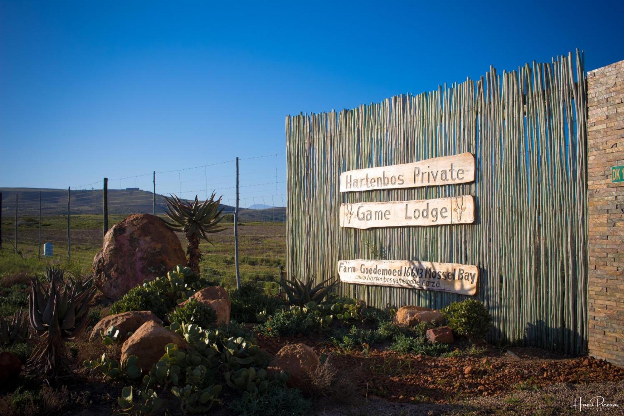 Hartenbos Private Game Lodge Экстерьер фото