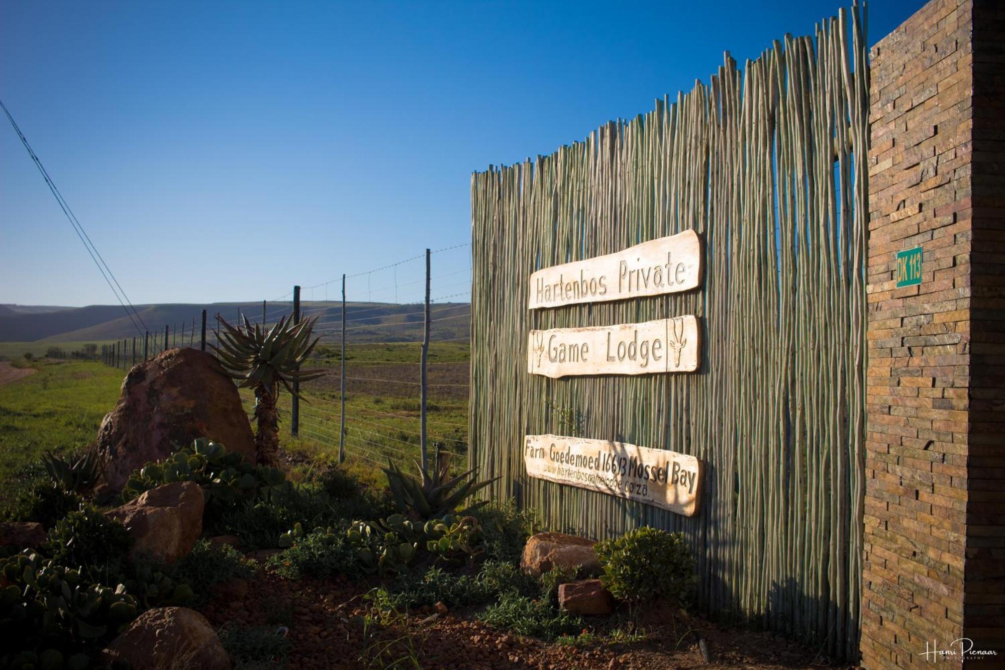 Hartenbos Private Game Lodge Экстерьер фото