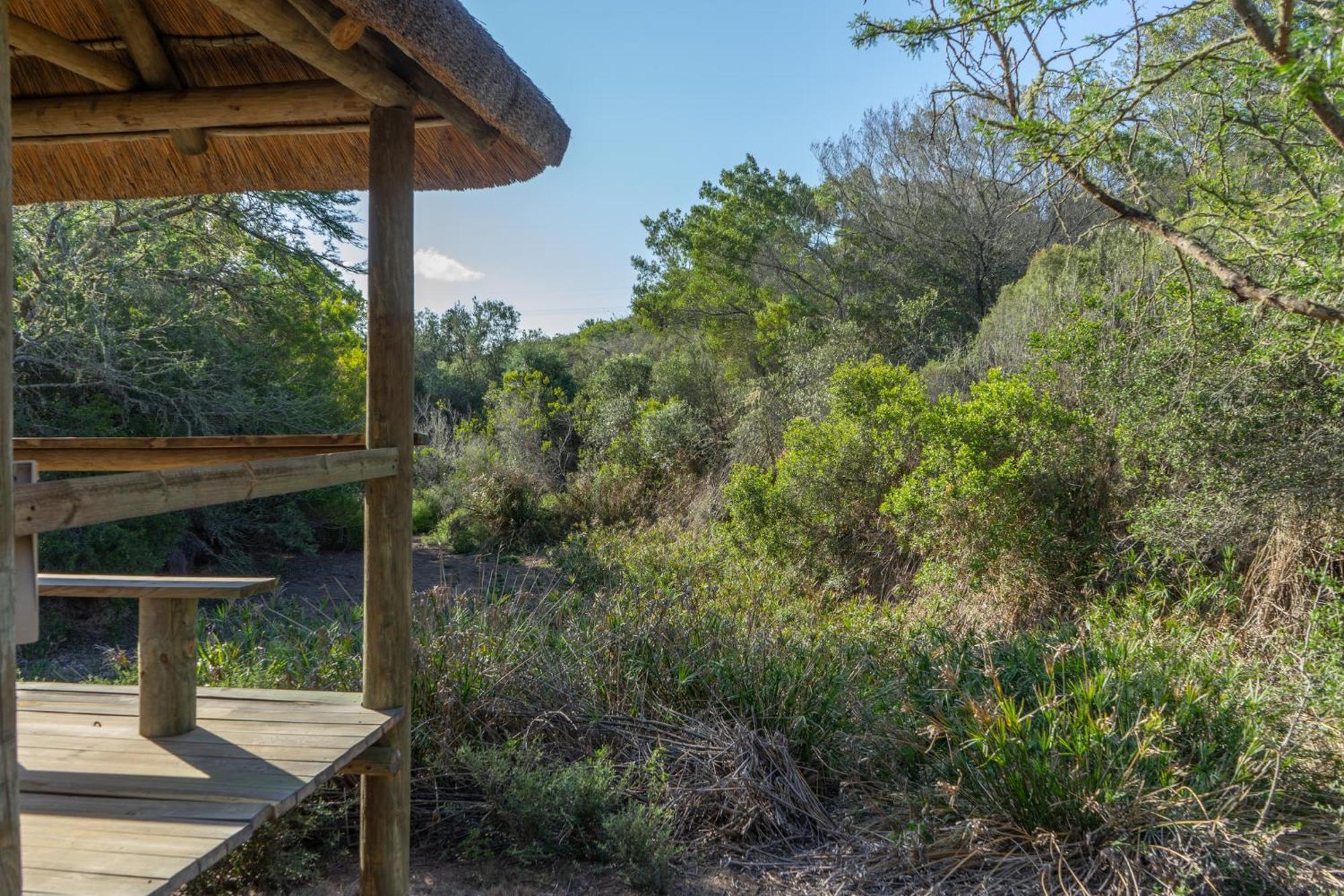 Hartenbos Private Game Lodge Экстерьер фото