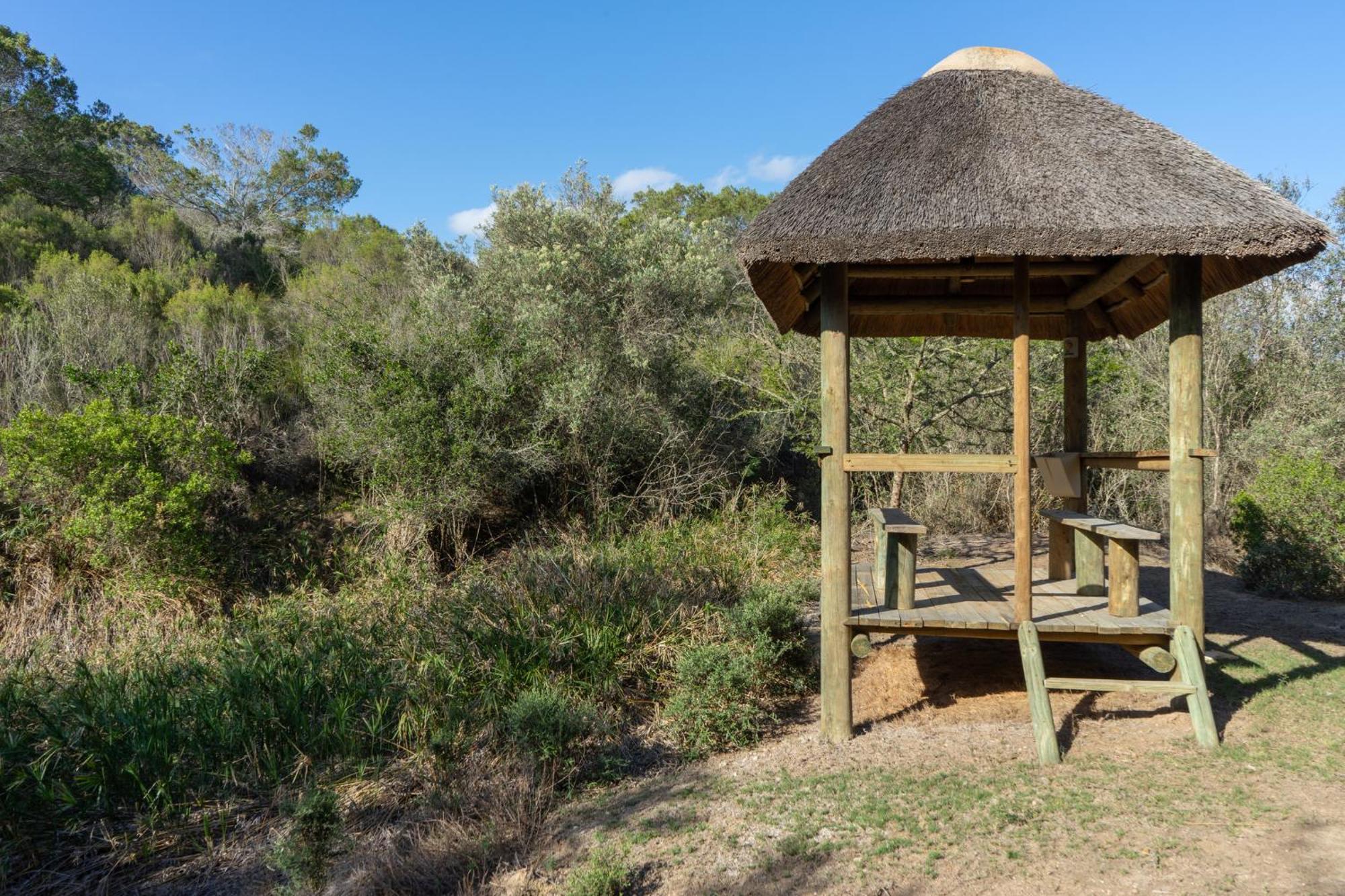 Hartenbos Private Game Lodge Экстерьер фото